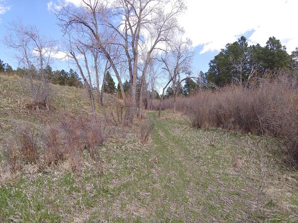 Land For Sale: 2290 Old Ranch Rd, Colorado Springs, CO 80908